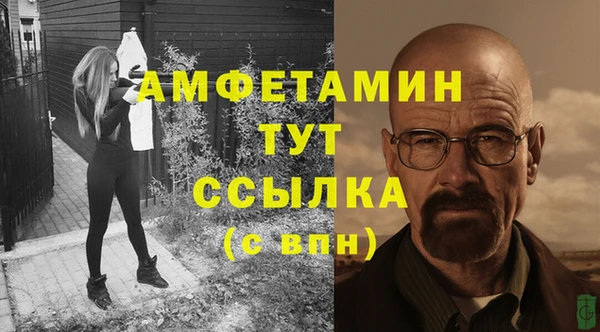 ГАЛЛЮЦИНОГЕННЫЕ ГРИБЫ Абаза