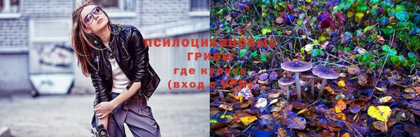 а пвп мука Алзамай