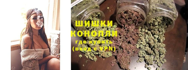 ГАЛЛЮЦИНОГЕННЫЕ ГРИБЫ Абаза