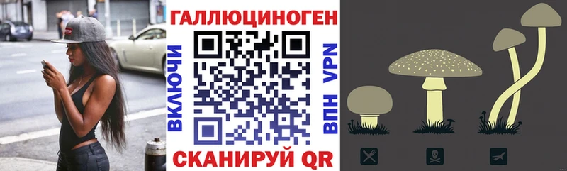 Псилоцибиновые грибы GOLDEN TEACHER  продажа наркотиков  hydra вход  Устюжна 